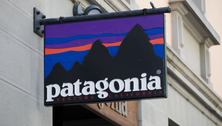 Patagonia Is Offering $100 Credit If You Get Three Friends To Make Voting Plans